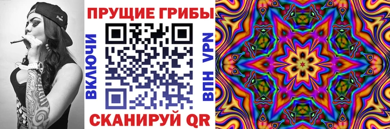 Галлюциногенные грибы прущие грибы  как найти закладки  Новотитаровская 